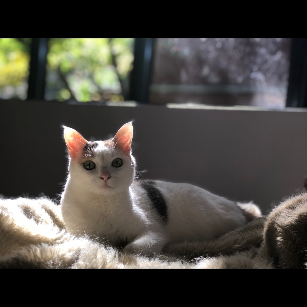 Meet your Posher, Andrew